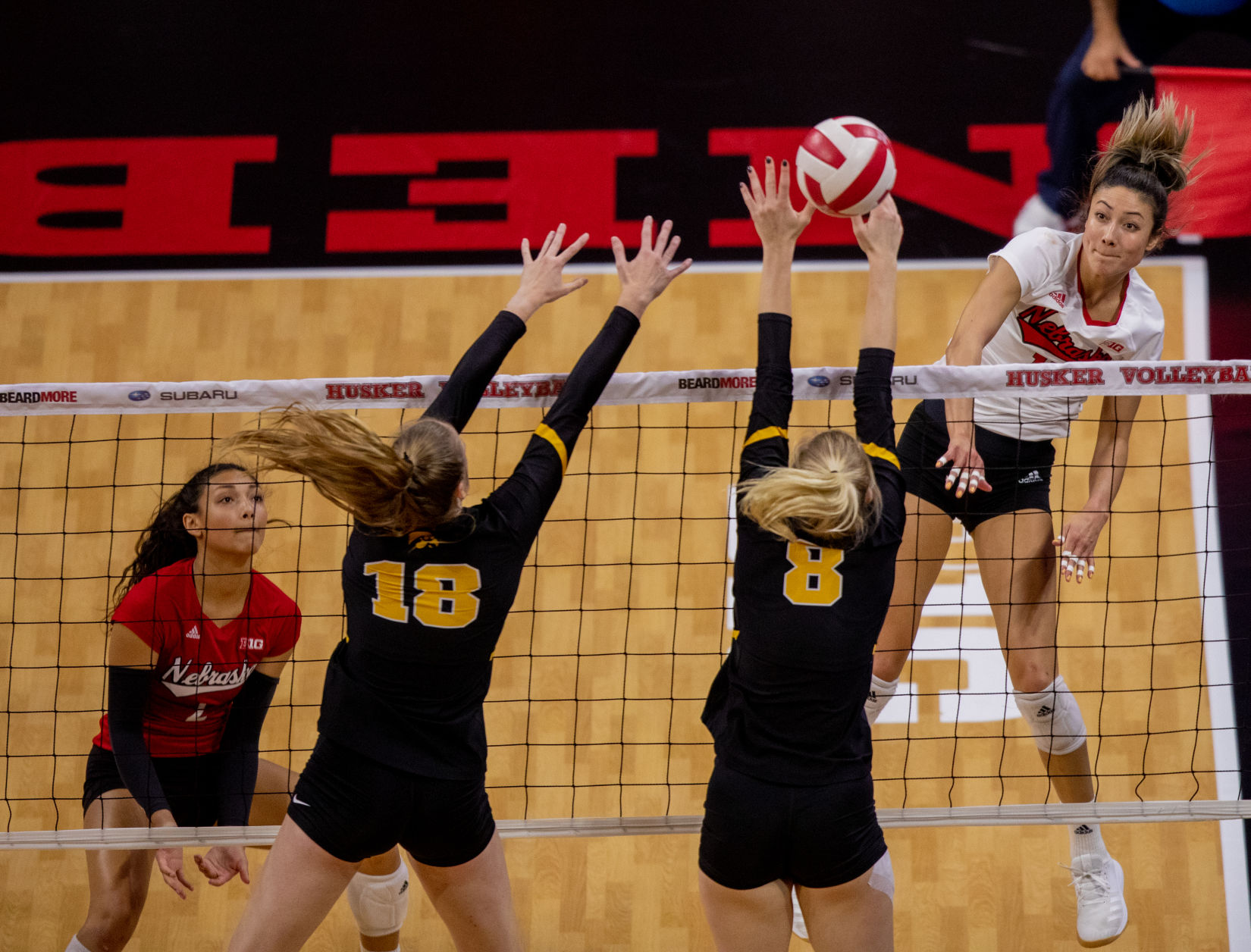 Nebraska Volleyball vs. Iowa Photo No. 5
